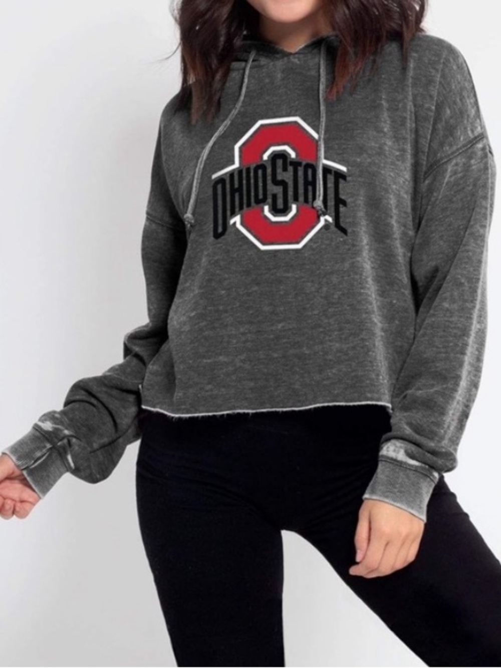 CHICKA-D Ohio State Crop Hoodie, size L